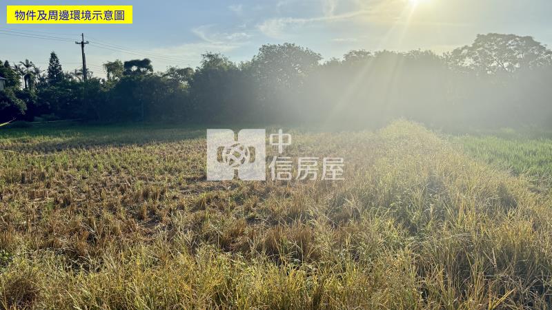 5W57觀音休閒美田＃獨家專賣＃房屋室內格局與周邊環境