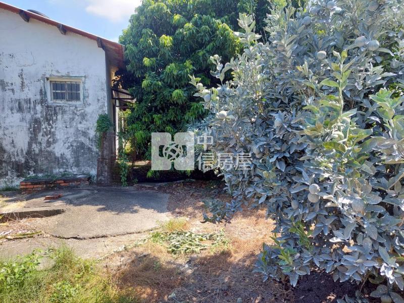 近莿桐大美國小農地送平房房屋室內格局與周邊環境