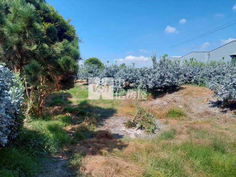 近莿桐大美國小農地送平房房屋室內格局與周邊環境