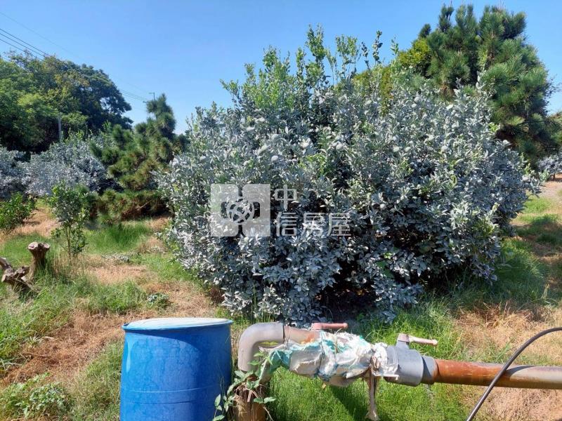 近莿桐大美國小農地送平房房屋室內格局與周邊環境