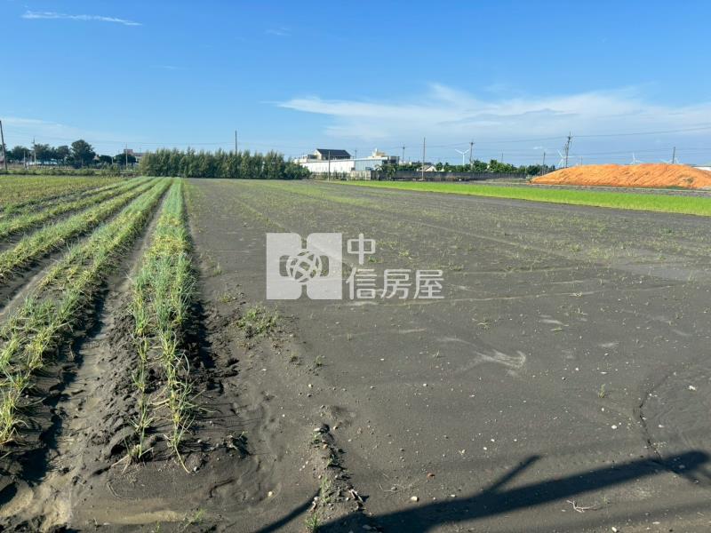 施厝農地房屋室內格局與周邊環境