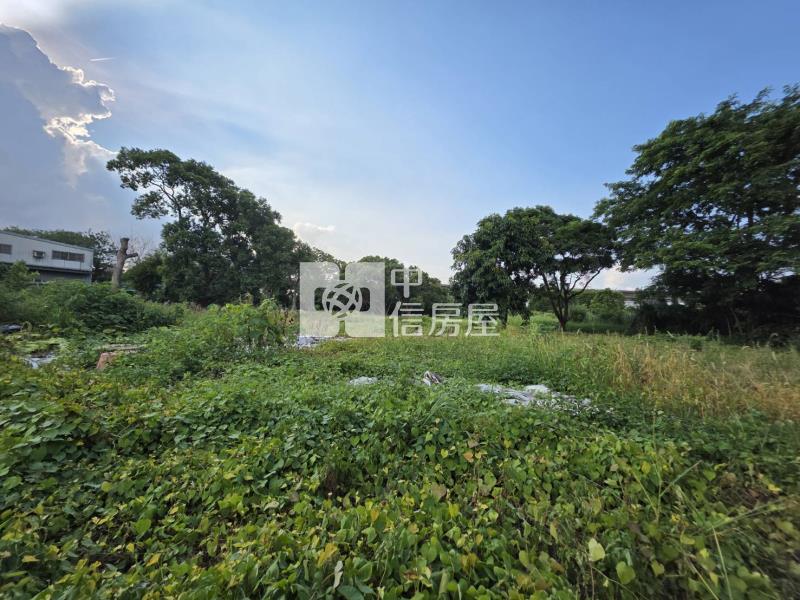 中工擴大一期正新興國小買地送屋房屋室內格局與周邊環境