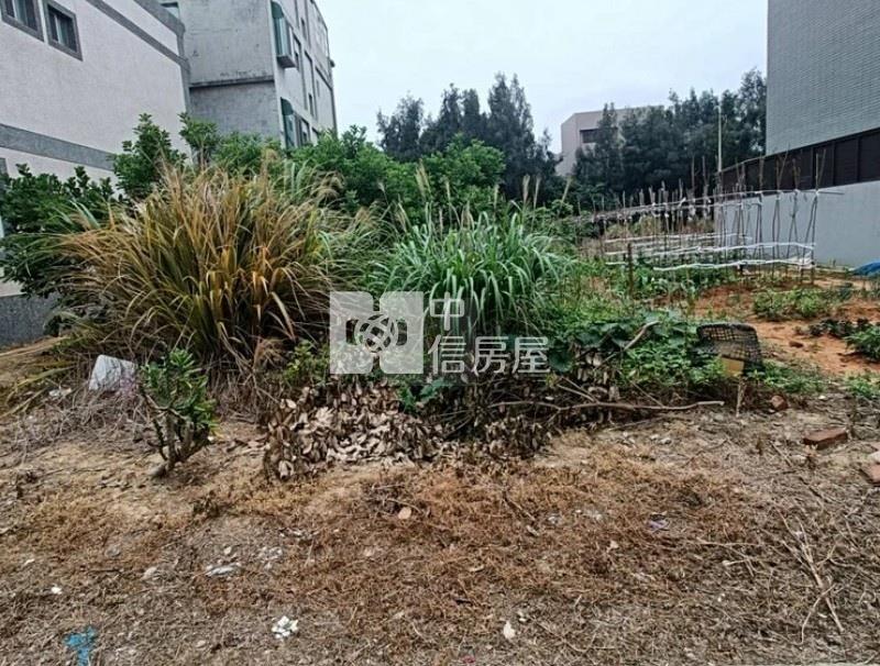 【玖禾】觀音大潭工業區建地房屋室內格局與周邊環境