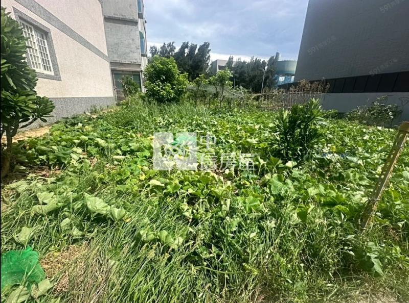 【玖禾】觀音大潭工業區建地房屋室內格局與周邊環境
