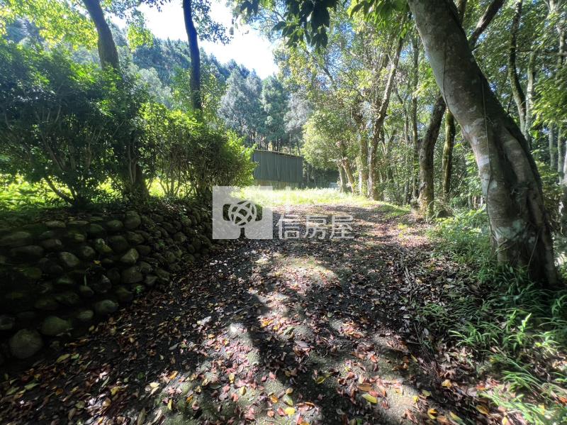 金龍山農加林房屋室內格局與周邊環境