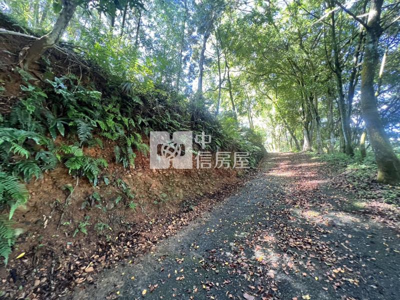 金龍山農加林房屋室內格局與周邊環境