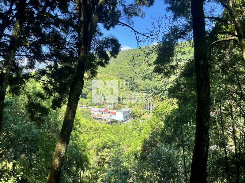 金龍山農加林房屋室內格局與周邊環境