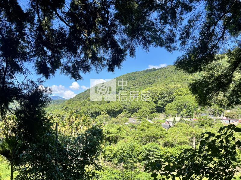 金龍山農加林房屋室內格局與周邊環境