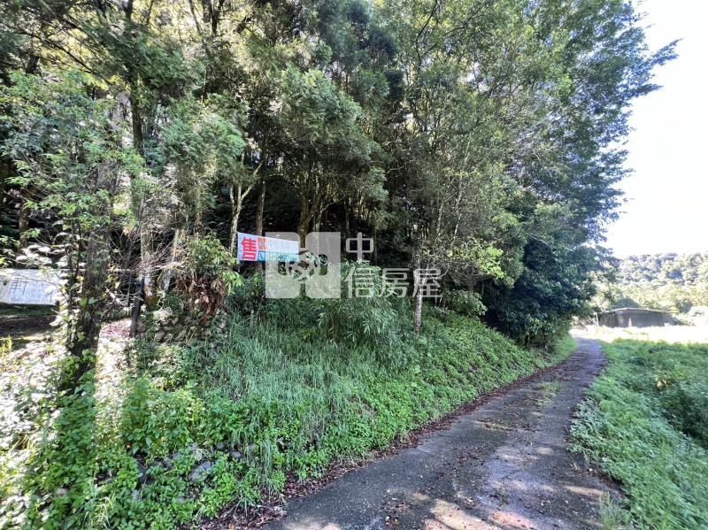 金龍山農加林房屋室內格局與周邊環境