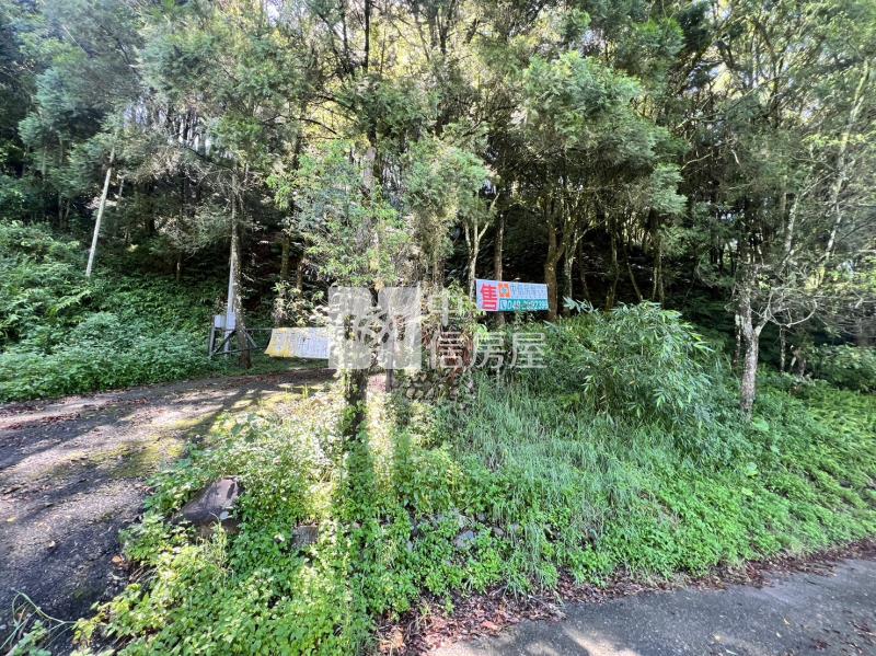 金龍山農加林房屋室內格局與周邊環境