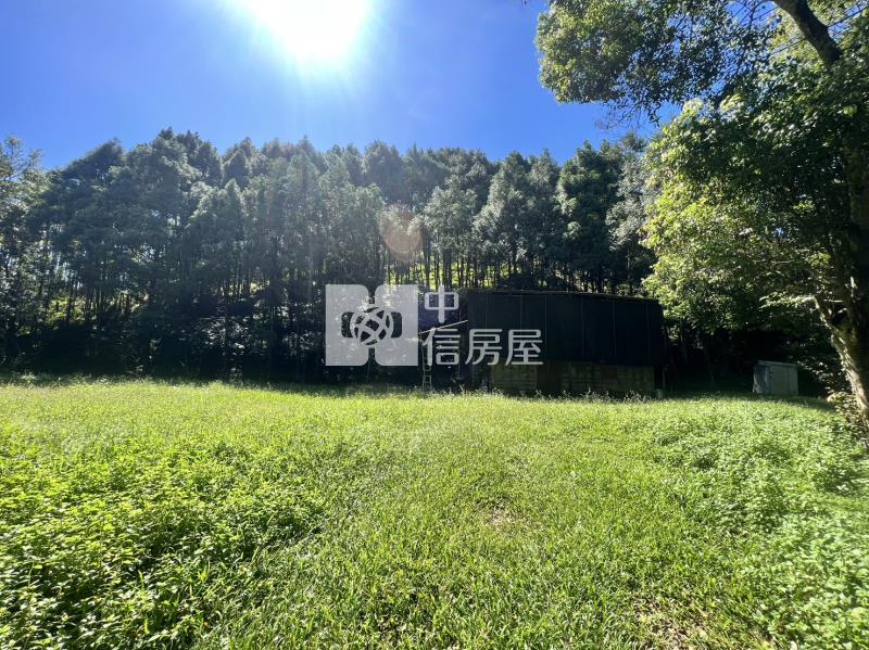金龍山農加林房屋室內格局與周邊環境
