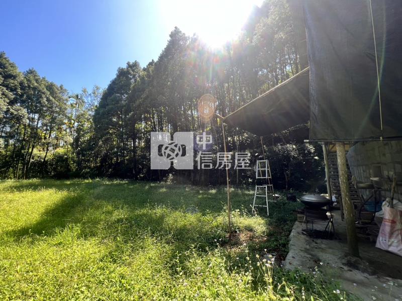 金龍山農加林房屋室內格局與周邊環境