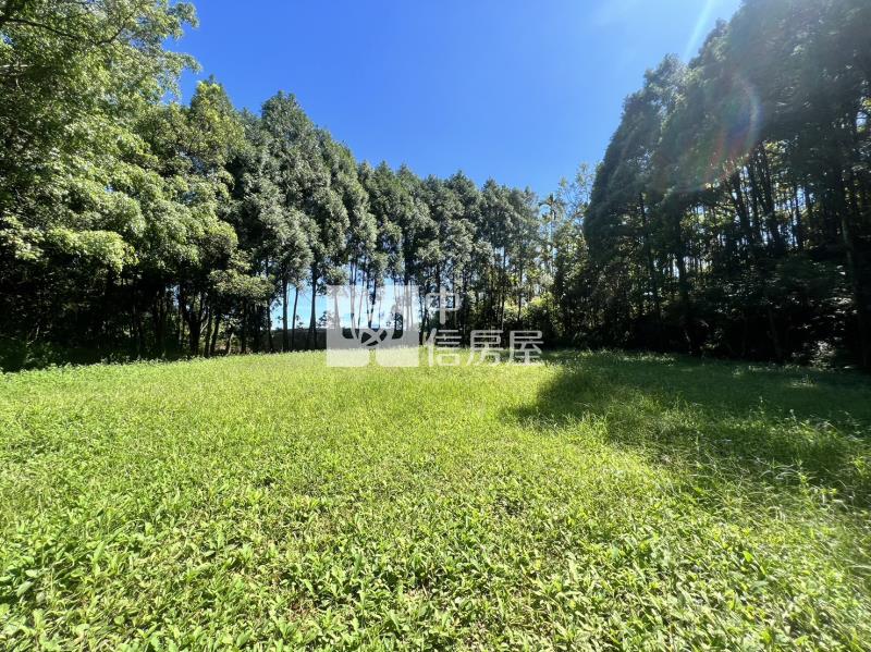 金龍山農加林房屋室內格局與周邊環境