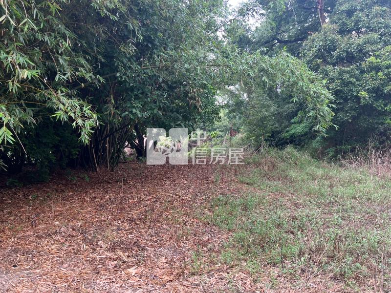 【安家】近長安市區美農地房屋室內格局與周邊環境