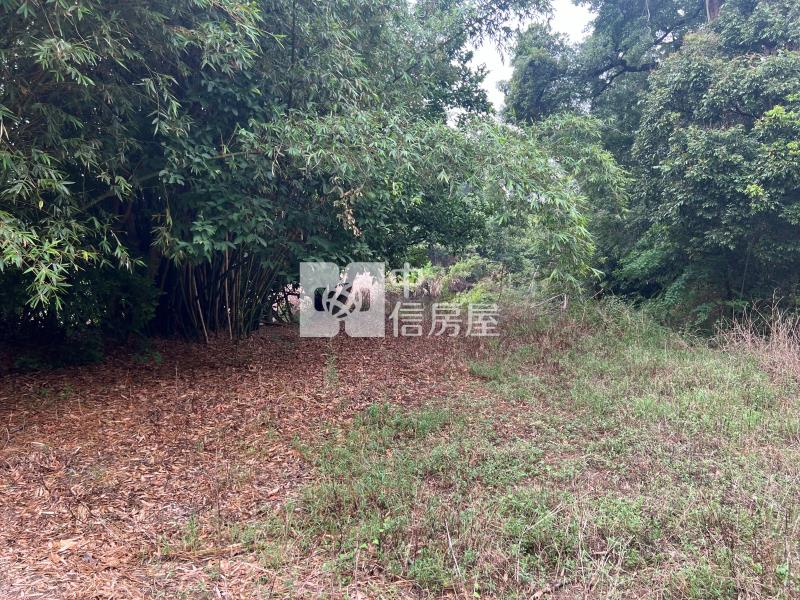 【安家】近長安市區美農地房屋室內格局與周邊環境