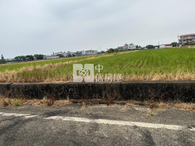 湖口方正便宜農地(可分筆買賣)房屋室內格局與周邊環境