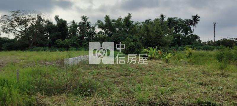 近新市產業園區小而美增值農地房屋室內格局與周邊環境