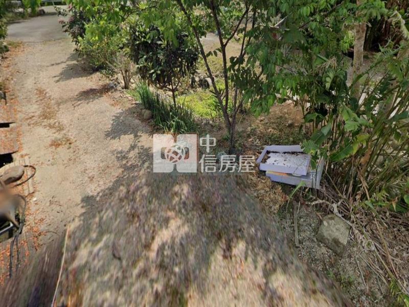 山林靜謐首選|自用休閒、農作皆宜|房屋室內格局與周邊環境