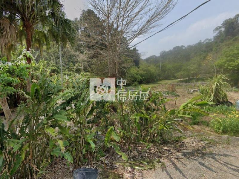 山林靜謐首選|自用休閒、農作皆宜|房屋室內格局與周邊環境