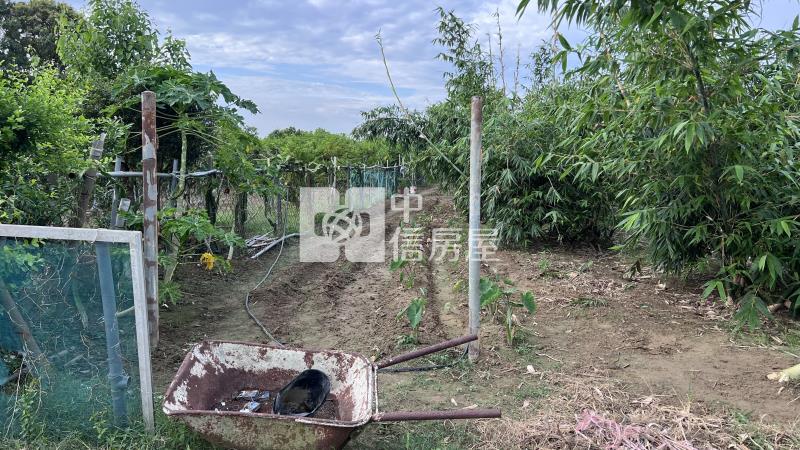 崙頂近高鐵1分農地房屋室內格局與周邊環境