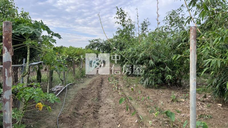 崙頂近高鐵1分農地房屋室內格局與周邊環境