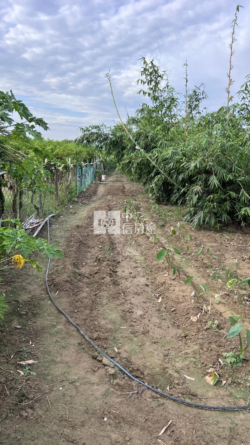 崙頂近高鐵1分農地房屋室內格局與周邊環境