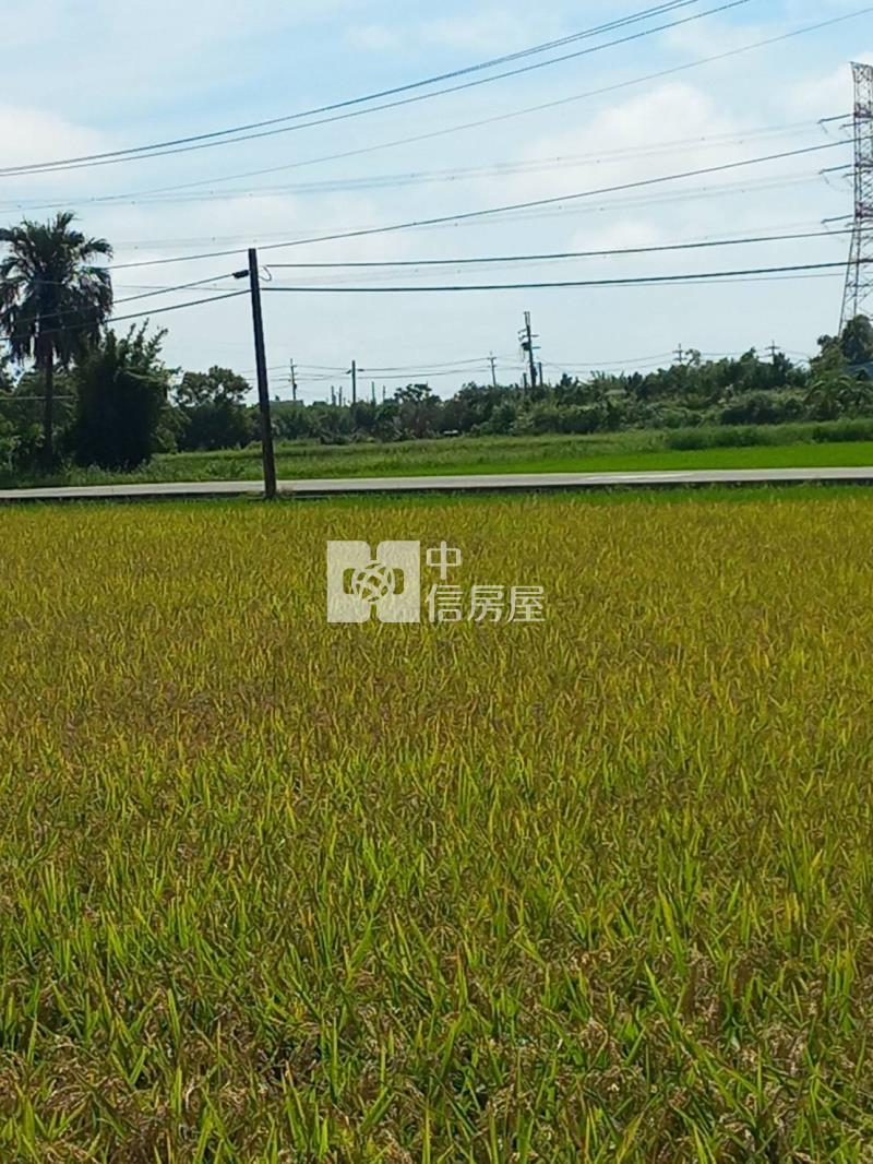 新屋區三福路旁605美農地房屋室內格局與周邊環境