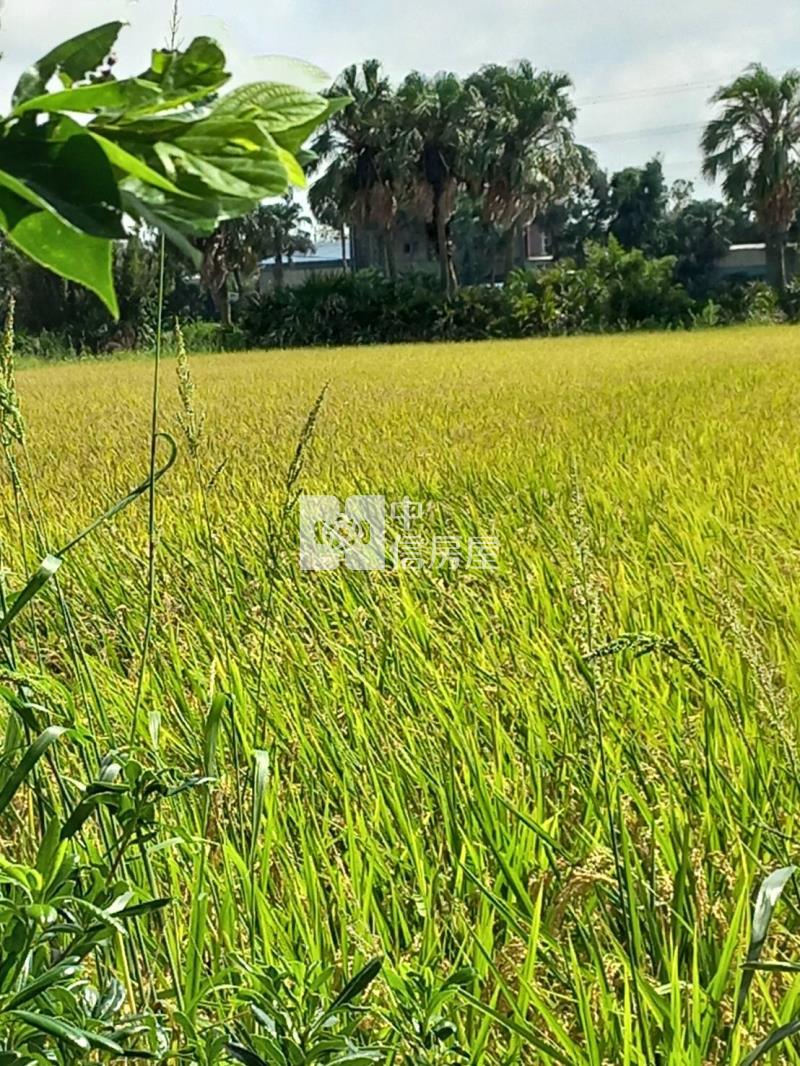 新屋區三福路旁605美農地房屋室內格局與周邊環境