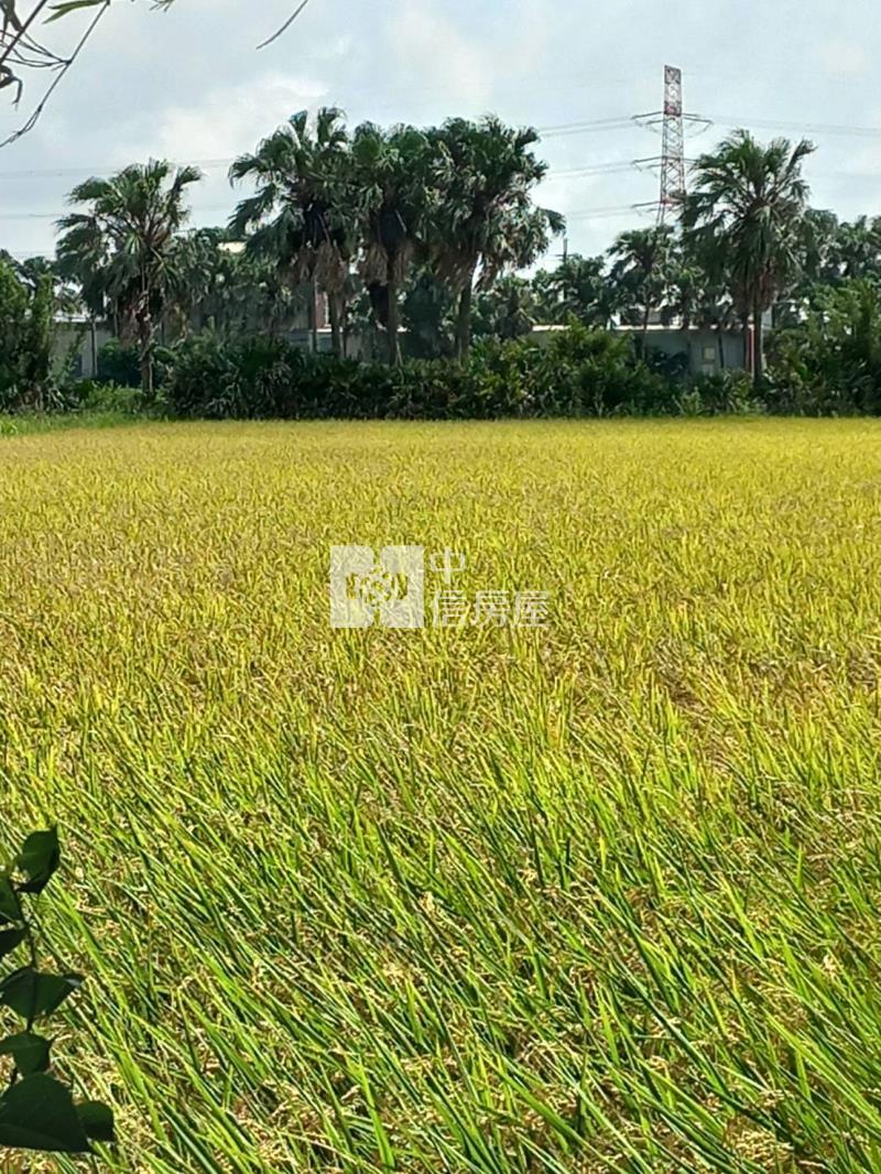 新屋區三福路旁605美農地房屋室內格局與周邊環境