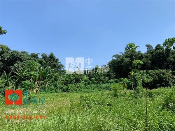 民雄松田崗旁大坪數農地-891嘉義房地產房屋室內格局與周邊環境
