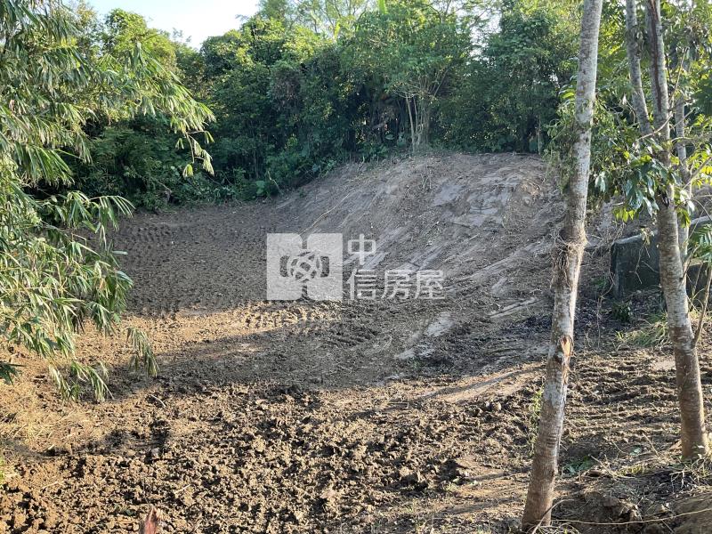 左鎮臨台21線大面寬農地房屋室內格局與周邊環境