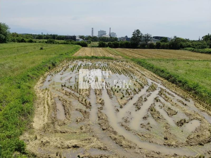 正永安國小稀有 美農地房屋室內格局與周邊環境
