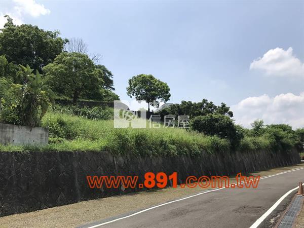 空氣清新環境位置佳丙種建地-891房屋室內格局與周邊環境