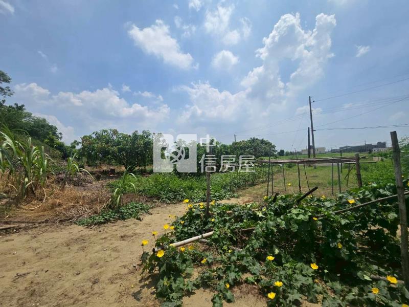 西港區-福地福人居金宅段建地II房屋室內格局與周邊環境