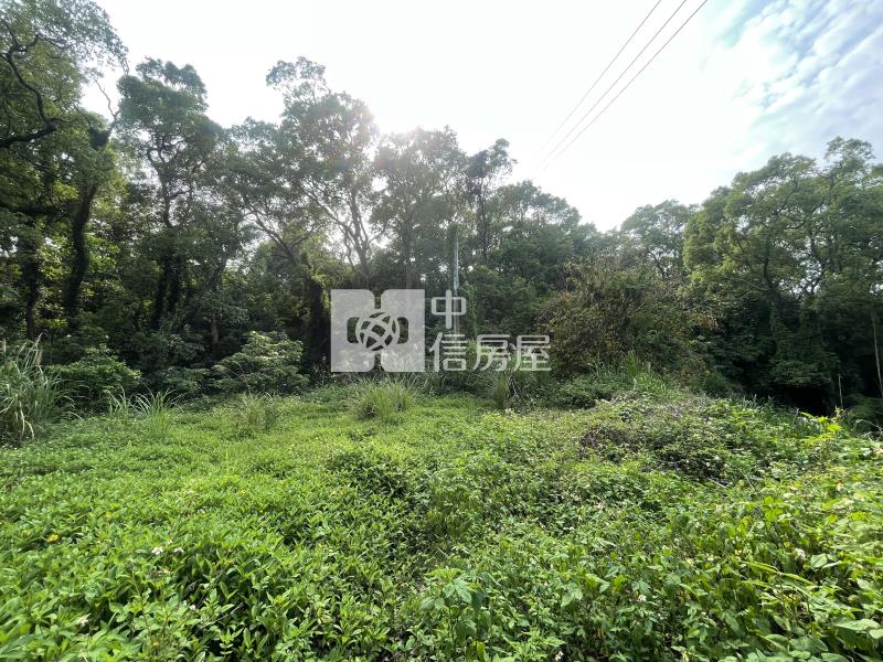 (專任)苗栗優勝美社區型農牧地房屋室內格局與周邊環境