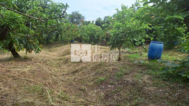 官田2.7分美農地房屋室內格局與周邊環境