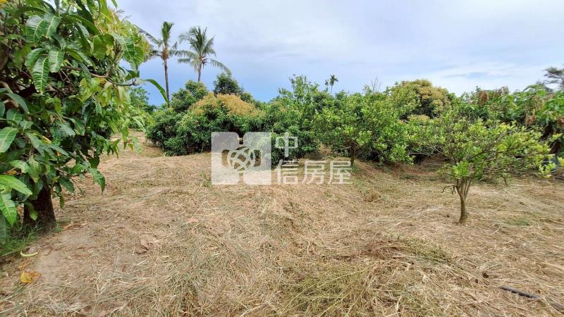 官田2.7分美農地房屋室內格局與周邊環境