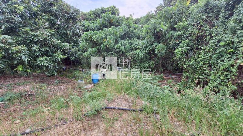 官田2.7分美農地房屋室內格局與周邊環境