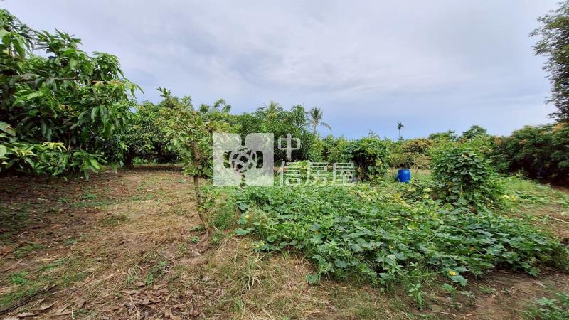 官田2.7分美農地房屋室內格局與周邊環境