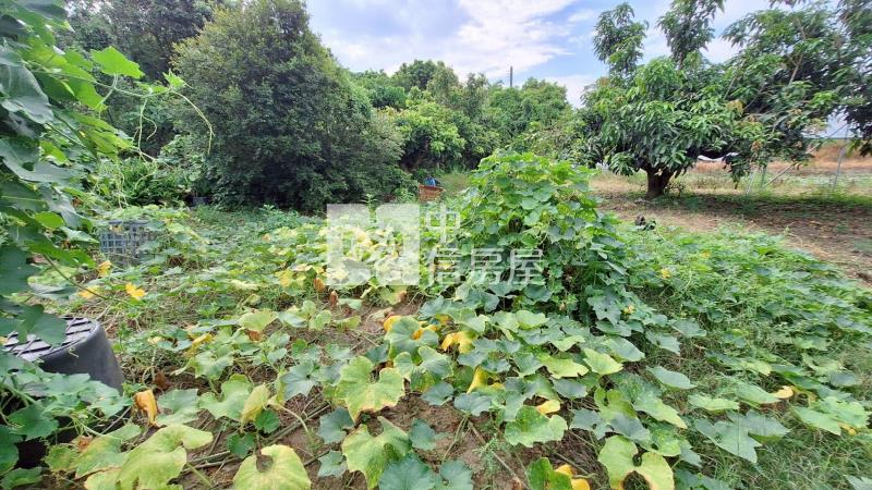 官田2.7分美農地房屋室內格局與周邊環境