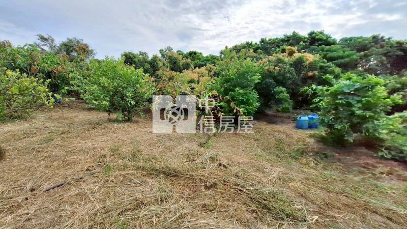 官田2.7分美農地房屋室內格局與周邊環境