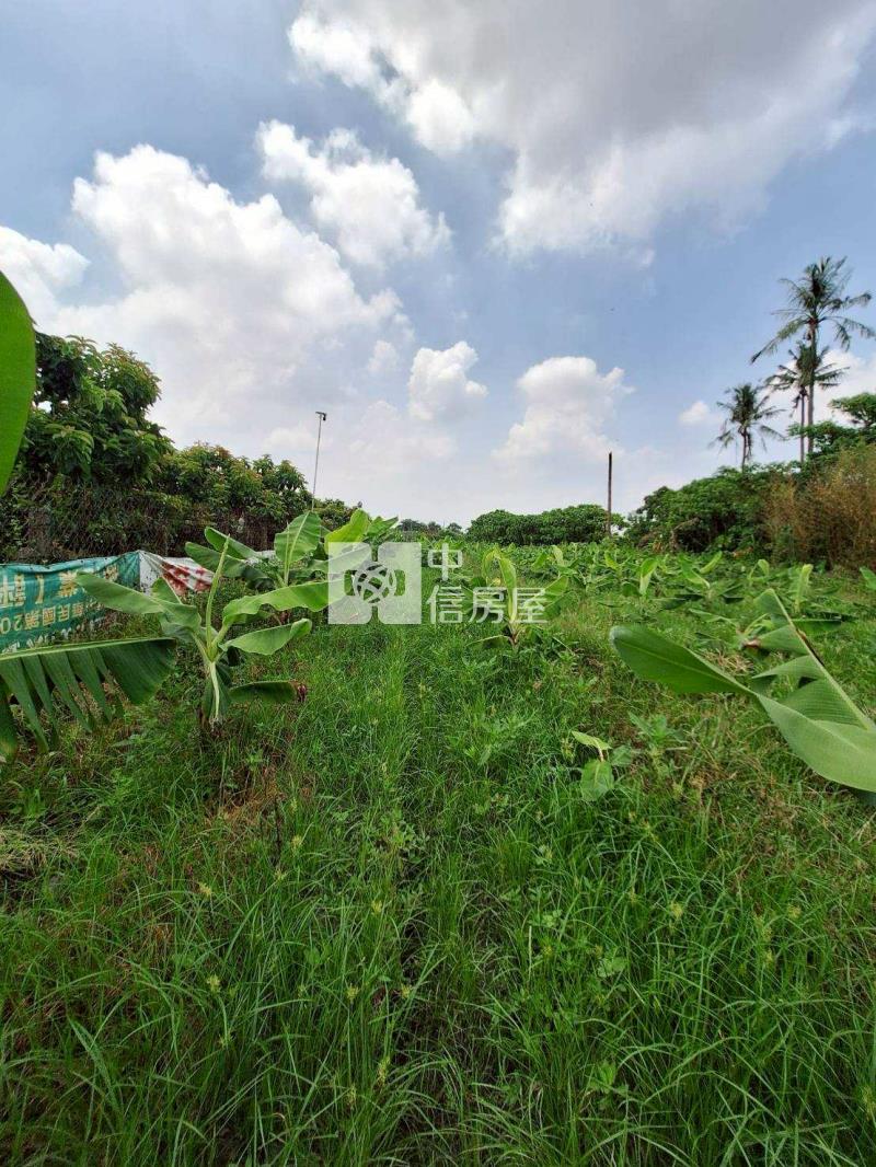 九如玉泉段農地房屋室內格局與周邊環境