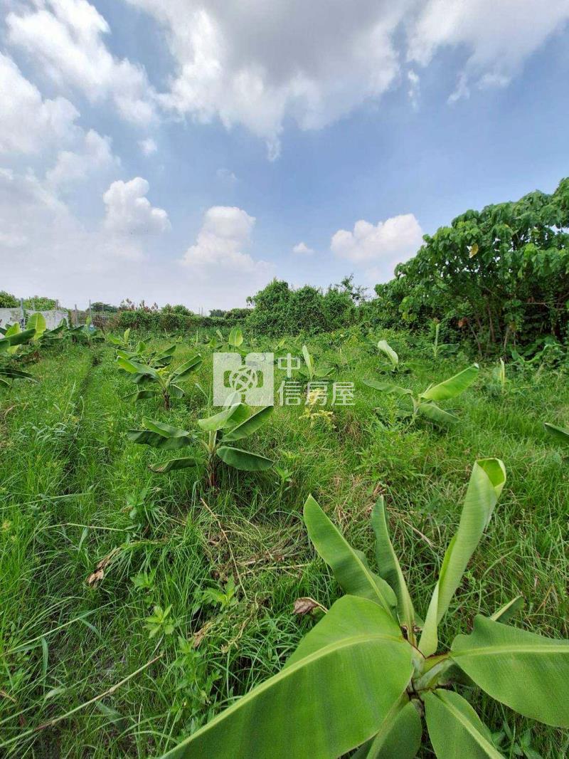 九如玉泉段農地房屋室內格局與周邊環境