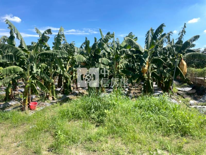 山上區觀光增值農地3房屋室內格局與周邊環境