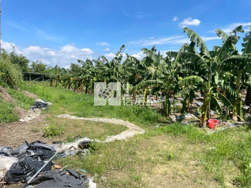 山上區觀光增值農地3房屋室內格局與周邊環境