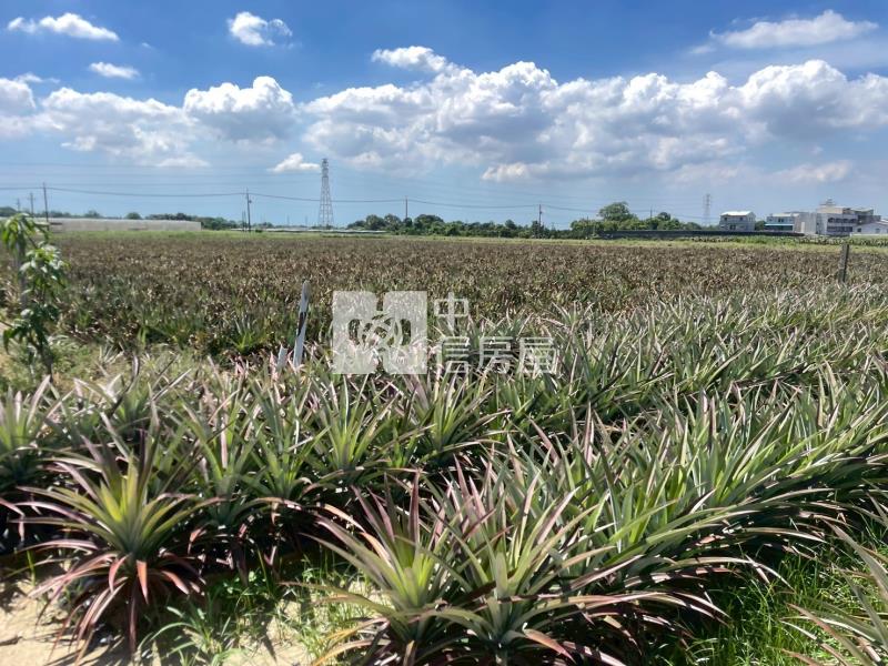 山上區觀光增值農地4房屋室內格局與周邊環境
