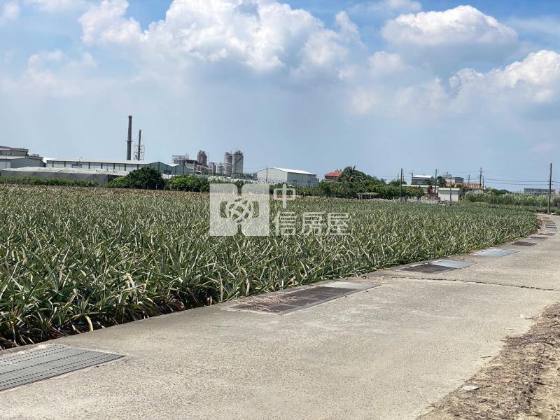 山上區觀光增值農地6房屋室內格局與周邊環境