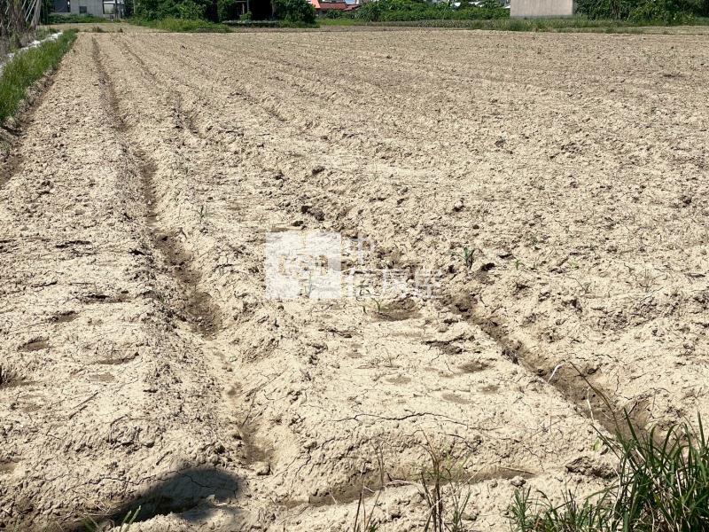 山上區觀光增值農地6房屋室內格局與周邊環境