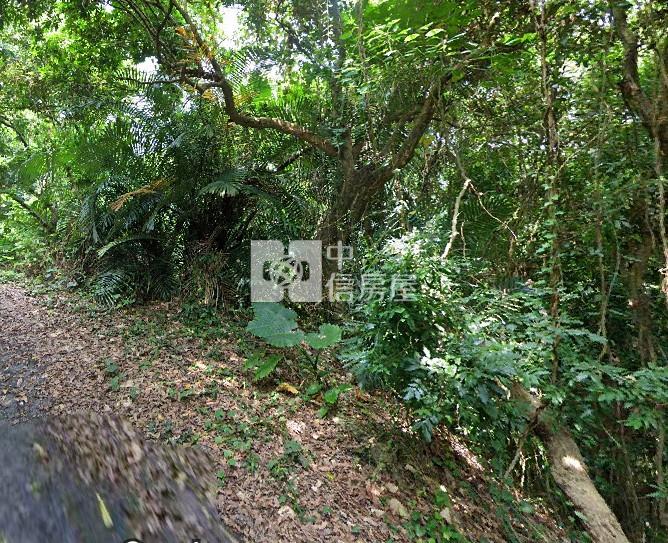 南投中興新村農建地房屋室內格局與周邊環境