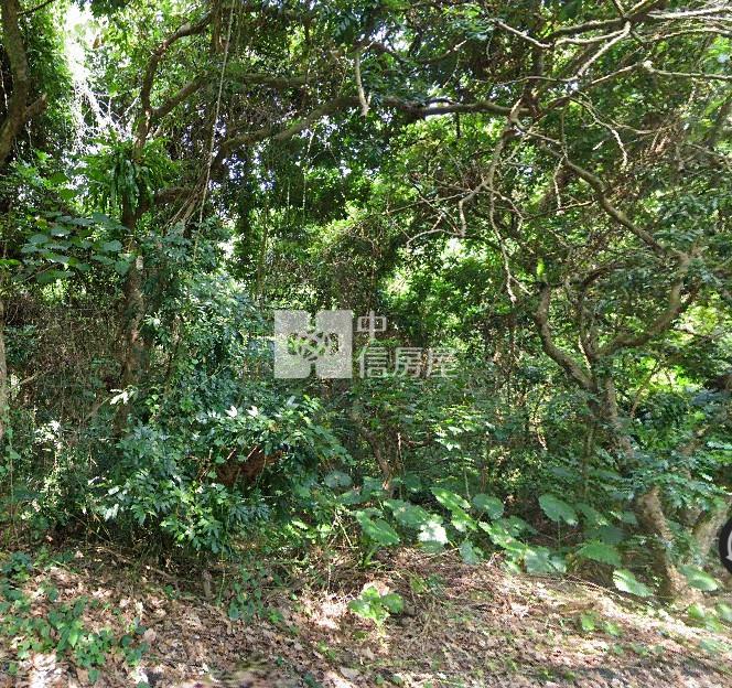 南投中興新村農建地房屋室內格局與周邊環境